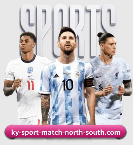五大体育板块覆盖,从比分到直播全覆盖