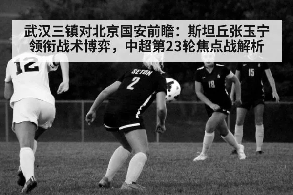 武汉三镇对北京国安前瞻:斯坦丘张玉宁领衔战术博弈,中超第23轮焦点战解析