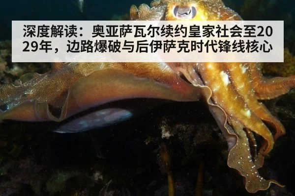 深度解读:奥亚萨瓦尔续约皇家社会至2029年,边路爆破与后伊萨克时代锋线核心