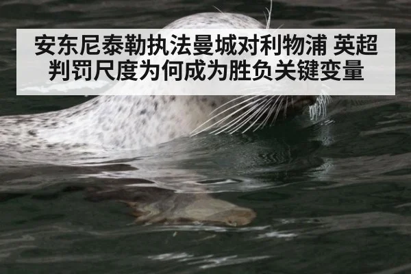安东尼泰勒执法曼城对利物浦 英超判罚尺度为何成为胜负关键变量