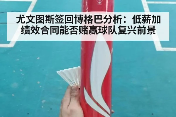 尤文图斯签回博格巴分析:低薪加绩效合同能否赌赢球队复兴前景
