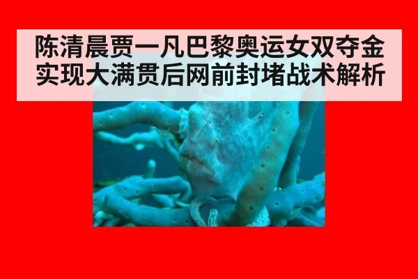 陈清晨贾一凡巴黎奥运女双夺金实现大满贯后网前封堵战术解析